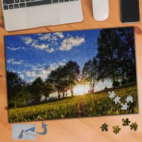 407 Gün Işığı Temiz Hava Ağaçlar 240 Parça Puzzle Yapboz Tablo