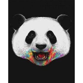40x50 cm Myglobal Pandam Renkli Sayılarla Boyama Seti Rulo Duvar Sticker