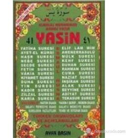 41 YASIN (ORTA BOY-2 RENK-TÜRKÇE OKUNUŞLARI VE AÇIKLAMALARI) - ELMALILI MUHAMMED HAMDI YAZIR