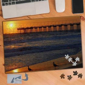 412 Kuşların Sahilde Duruşu Gün 240 Parça Puzzle Yapboz Tablo