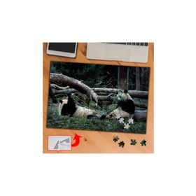 421952 Oyun Oynayan Panda 240 Parça Puzzle Yapboz Tablo