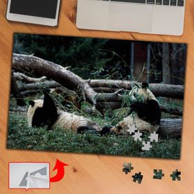 421952 Oyun Oynayan Panda 240 Parça Puzzle Yapboz Tablo