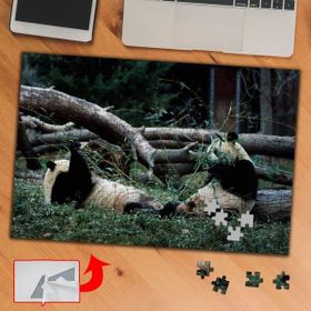 421952 Oyun Oynayan Panda 240 Parça Puzzle Yapboz Tablo