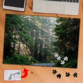 422017 Ağaçlı Yoldaki Güneş Işığı 240 Parça Puzzle Yapboz Tablo