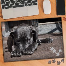423398 Siyah Güzellik 240 Parça Puzzle Yapboz
