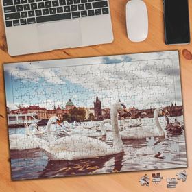 428089 Prag Gölündeki Ördekler 240 Parça Puzzle Yapboz
