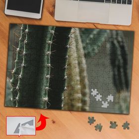 430297 Yakın Çekim Kaktüsler 240 Parça Puzzle Yapboz Tablo