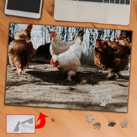 435609 Gezen Tavuklar Hayvan 240 Parça Puzzle Yapboz Tablo