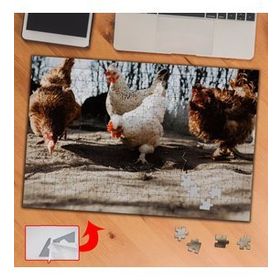 435609 Gezen Tavuklar Hayvan 240 Parça Puzzle Yapboz Tablo