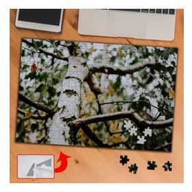 435766 Yakın Çekim Ağaç Gövdesi 240 Parça Puzzle Yapboz Tablo