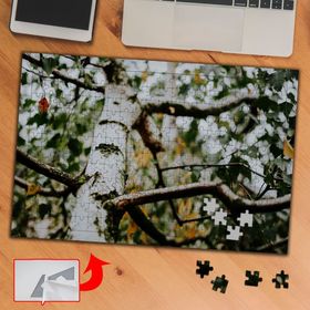 435766 Yakın Çekim Ağaç Gövdesi 240 Parça Puzzle Yapboz Tablo