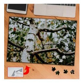 435766 Yakın Çekim Ağaç Gövdesi 240 Parça Puzzle Yapboz Tablo