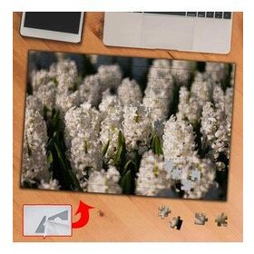 441920 Beyaz Lavantalar Bitki 240 Parça Puzzle Yapboz Tablo