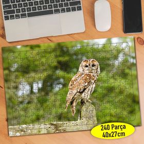 45514317 Sevimli Hayvan Baykuş 240 Parça Puzzle Yapboz