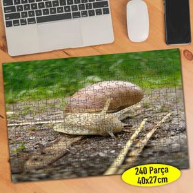 47055020 Salyangoz Naturel Yaşam Doğa 240 Parça Puzzle Yapboz