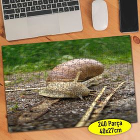 47055020 Salyangoz Naturel Yaşam Doğa 240 Parça Puzzle Yapboz