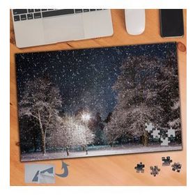 471 Kar Yağışlı Park Ağaçlar 240 Parça Puzzle Yapboz Tablo