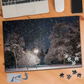 471 Kar Yağışlı Park Ağaçlar 240 Parça Puzzle Yapboz Tablo
