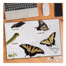 47245741 Kelebek Evrim Dönemi 240 Parça Puzzle Yapboz