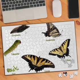 47245741 Kelebek Evrim Dönemi 240 Parça Puzzle Yapboz