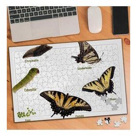 47245741 Kelebek Evrim Dönemi 240 Parça Puzzle Yapboz