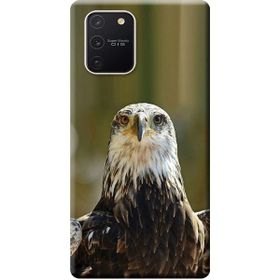 484 Samsung Galaxy S10 Lite SM-G770F Kartal Baskılı Silikon Kılıf