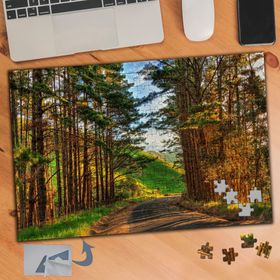 488 Ağaçlı Kumlu Yol Doğa 240 Parça Puzzle Yapboz Tablo