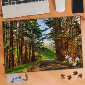 488 Ağaçlı Kumlu Yol Doğa 240 Parça Puzzle Yapboz Tablo