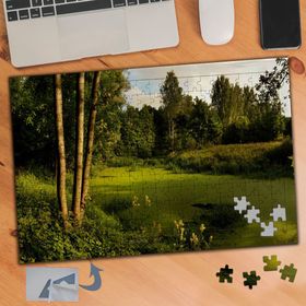 494 Yeşil Göl Orman Yolu Doğa 240 Parça Puzzle Yapboz Tablo
