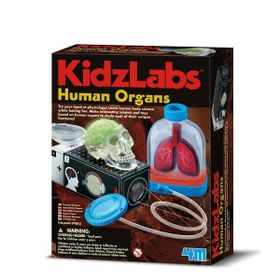 4M 3374 Organlarımız Oyuncak