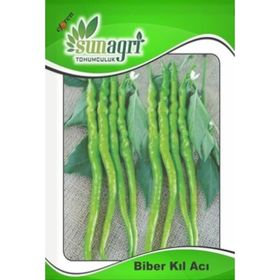 5 gr Acı Kıl Biber Tohumu
