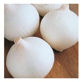 5 gr Beyaz Soğan Tohumu