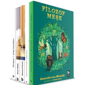 5 Kitap Takım Bilgi Yayınevi Sanat ve Felsefe Dizisi