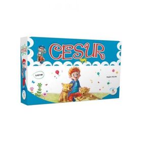 5 Renk Yayınları Cesur Dizisi 5 Kitap