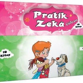 5 Renk Yayınları Pratik Zeka Gülcan Dizisi 10 Kitap