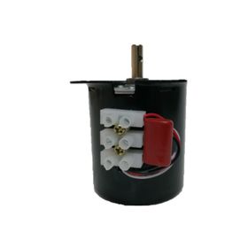 5 Rpm 28W Senkron Motor