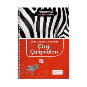 +5 Yaş Öğrenmeyi Seviyorum - Erken Çocukluk Döneminde Çizgi Çalışmaları - Uçanbalık Yayınları