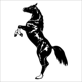 50 cm At Folyo Sticker