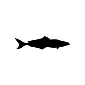 50 cm Balık Folyo Sticker