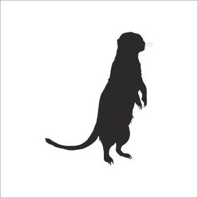 50 cm Gelincik Folyo Sticker