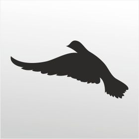 50 cm Güvercin Folyo Sticker