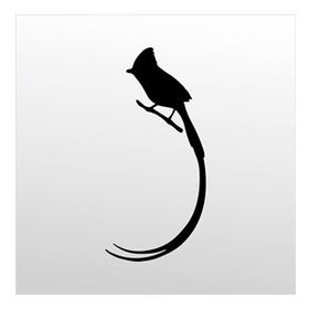 50 cm Hint Bülbülü Folyo Sticker