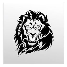 50 cm Kaplan Folyo Sticker