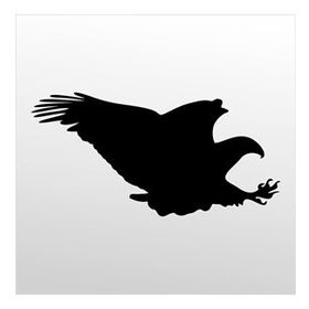 50 cm Kartal Folyo Sticker