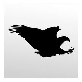 50 cm Kartal Folyo Sticker
