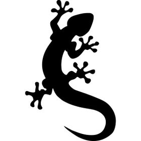 50 cm Kertenkele Folyo Sticker