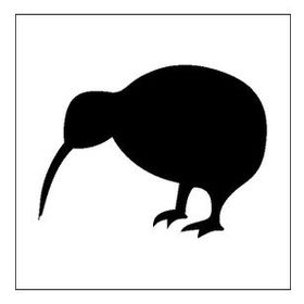 50 cm Kuş Folyo Sticker