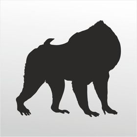50 cm Orangutan Folyo Sticker