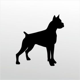 50 cm Pitbull Folyo Sticker