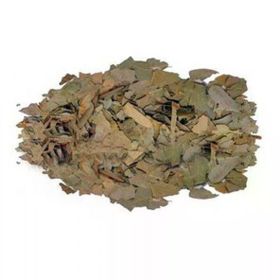 50 gr Avakado Yaprağı
